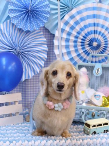 20231105グラちゃん